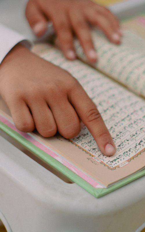 Untitled (800 x 500 px) (500 x 800 px)