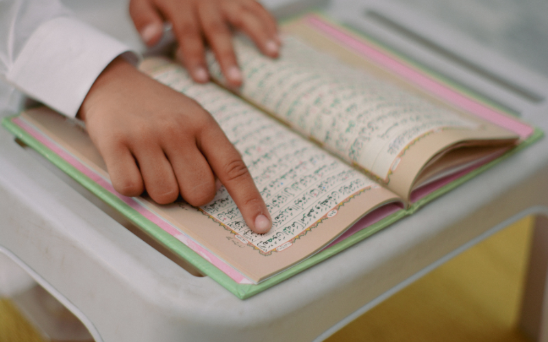 Untitled (800 x 500 px) (6)