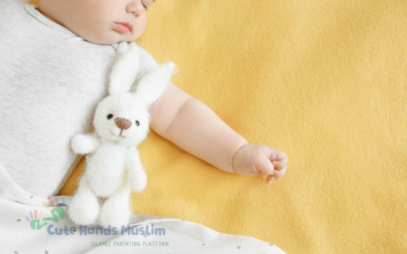 postingan web (800 x 500 px)